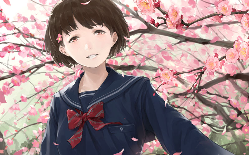 [会员][染平かつ(Katsu Somehira)]Pixiv+tumblr+instagram+推特图片包[580P]