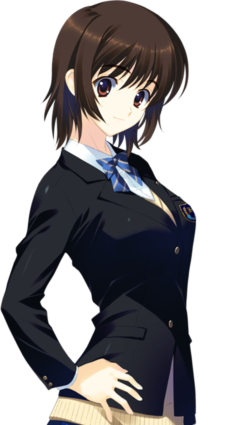 [会员][立绘图包][なかむらたけし 桂憲一郎 柳沢まさひで]WHITE ALBUM2 EXTENDED EDITION[1669P]