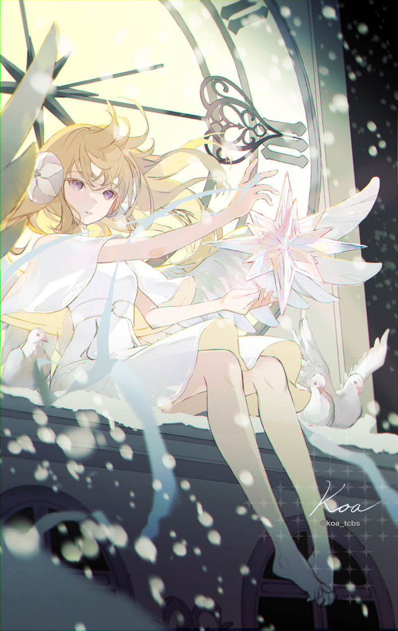 [会员][koa(koa_tcbs)]Pixiv+推特图片包[104P]