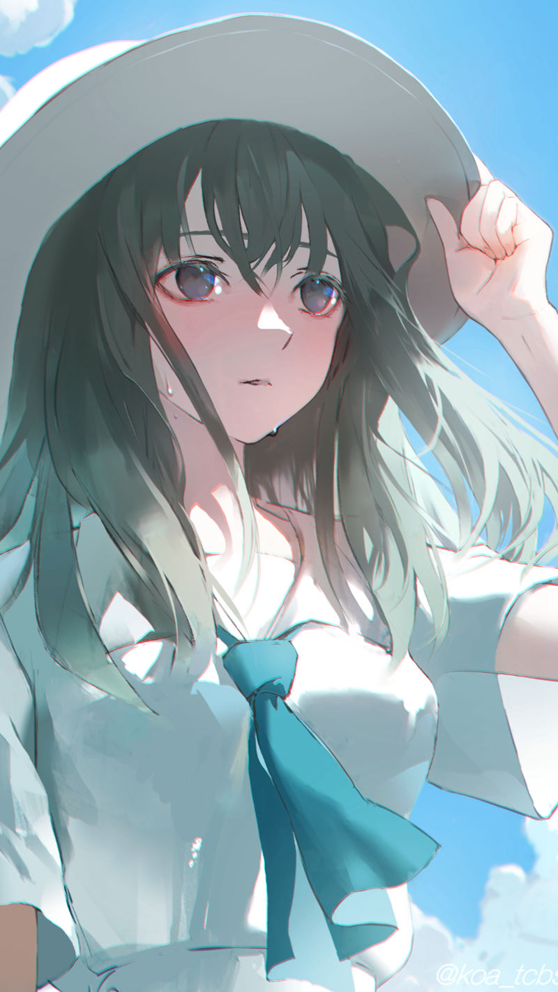 [会员][koa(koa_tcbs)]Pixiv+推特图片包[104P]