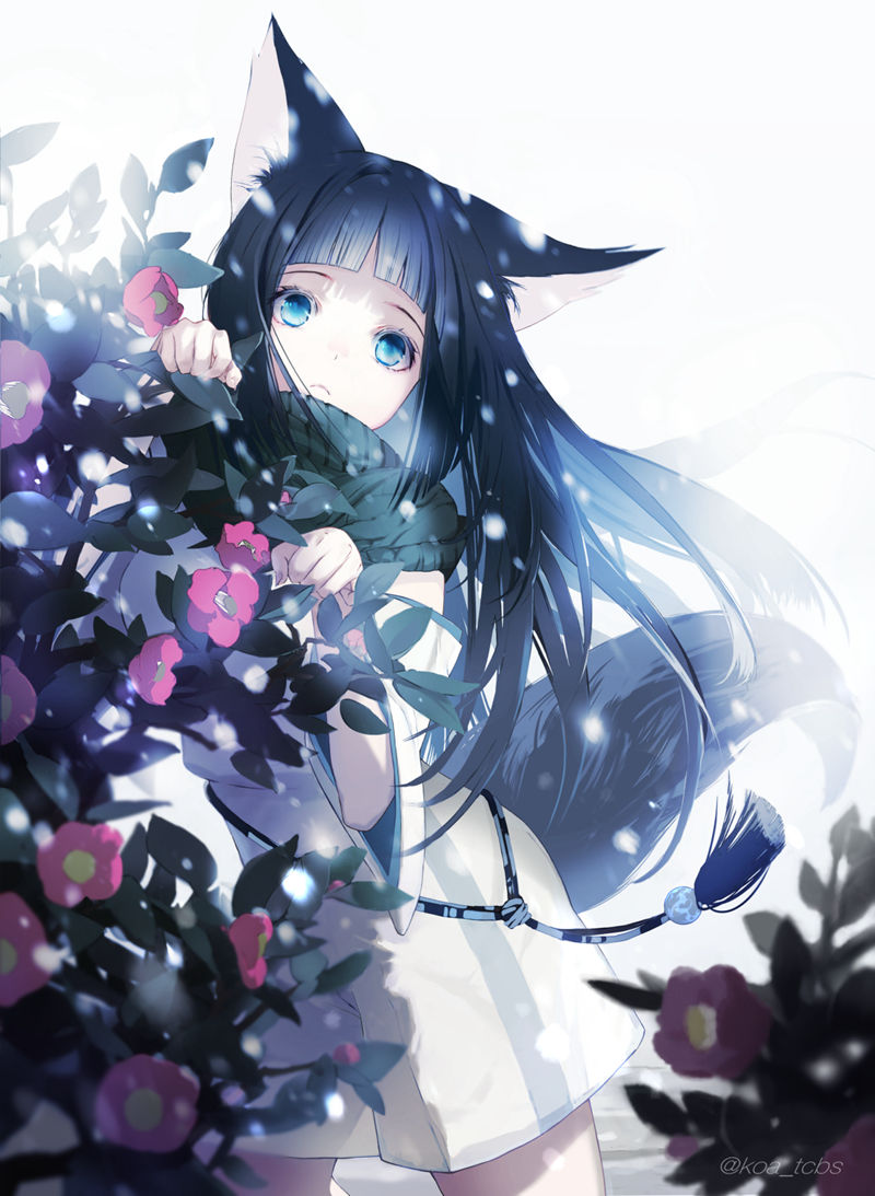 [会员][koa(koa_tcbs)]Pixiv+推特图片包[104P]