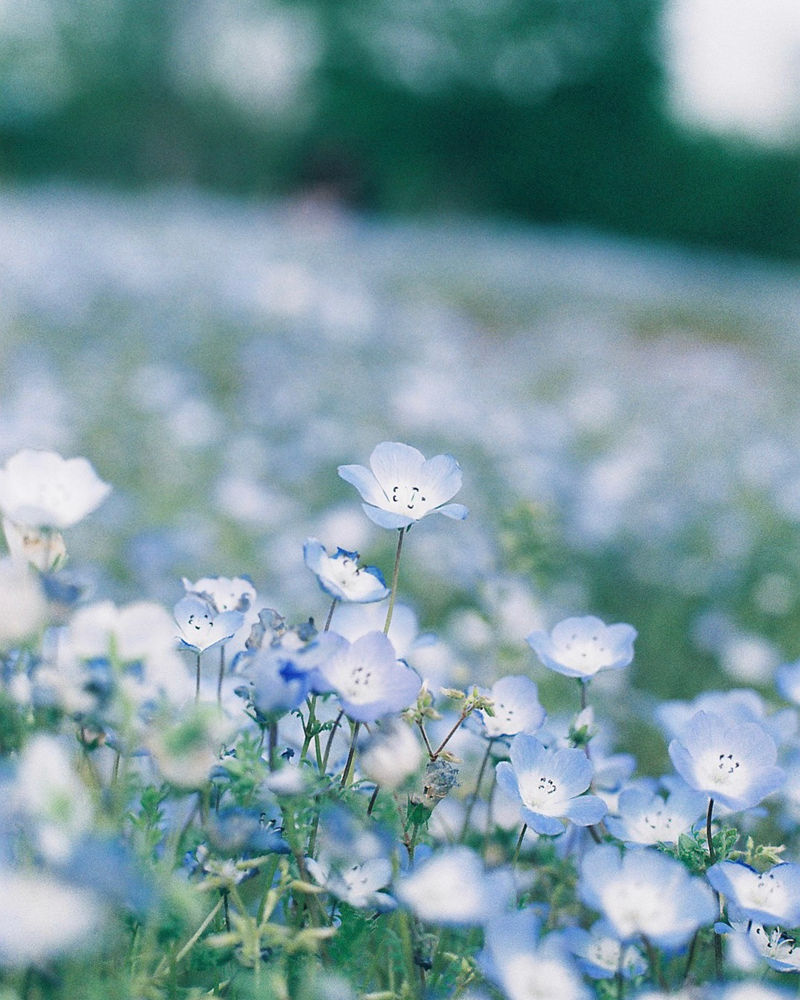[摄影图包][miho(miho_oldlens)]instagram图包[1490P]
