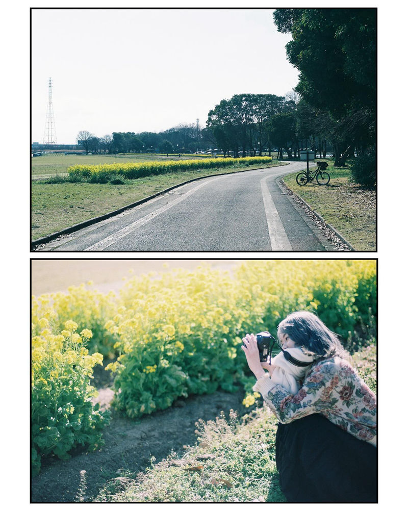 [摄影图包][miho(miho_oldlens)]instagram图包[1490P]