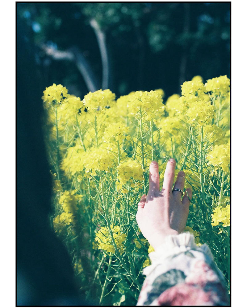 [摄影图包][miho(miho_oldlens)]instagram图包[1490P]