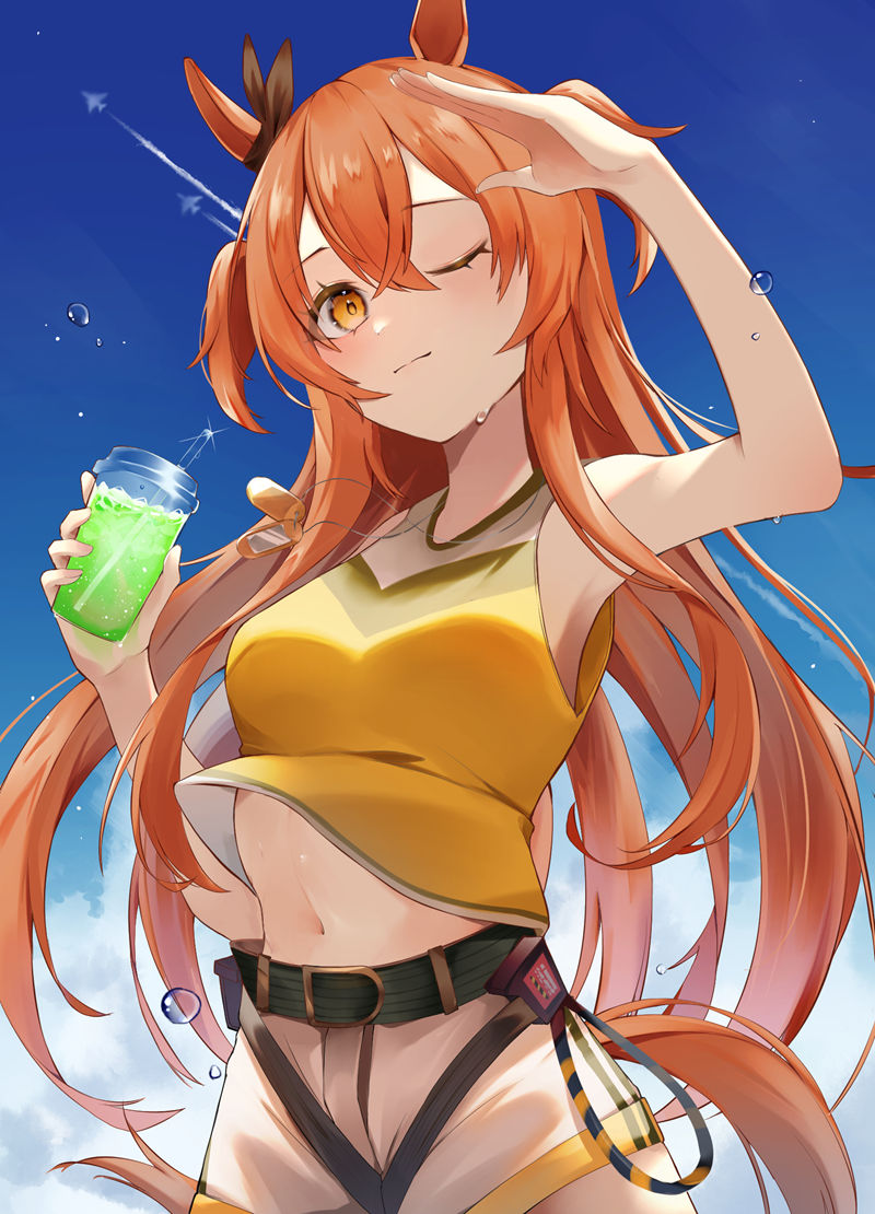 [会员][あらら(FU_N_FU_N_FU_N)]Pixiv+推特图片包[87P]