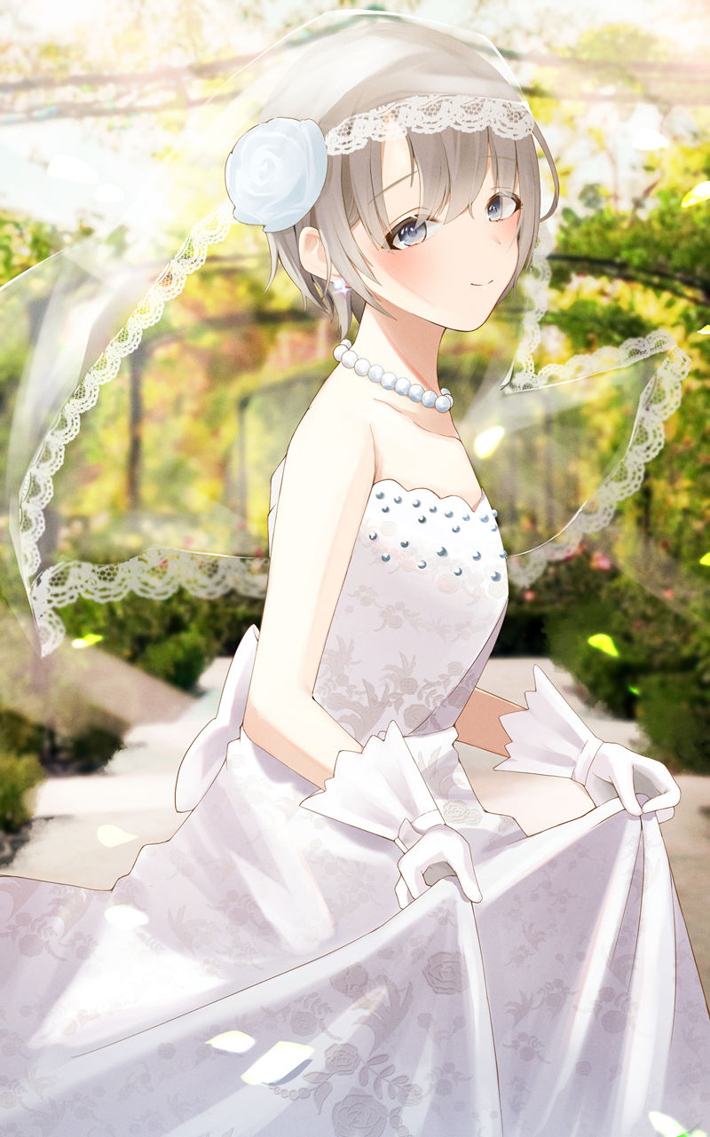[会员][あらら(FU_N_FU_N_FU_N)]Pixiv+推特图片包[87P]