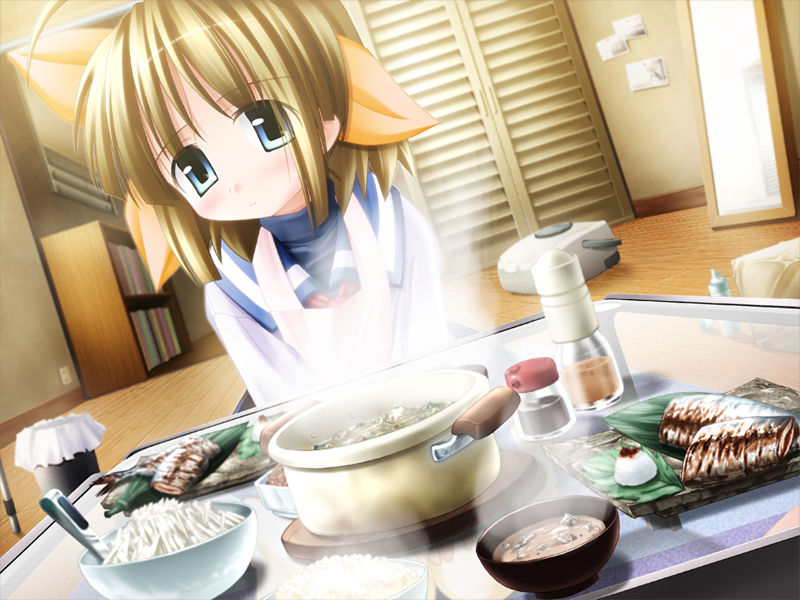 [游戏CG][KIMちー]はるのあしおと 精选CG[1025P]