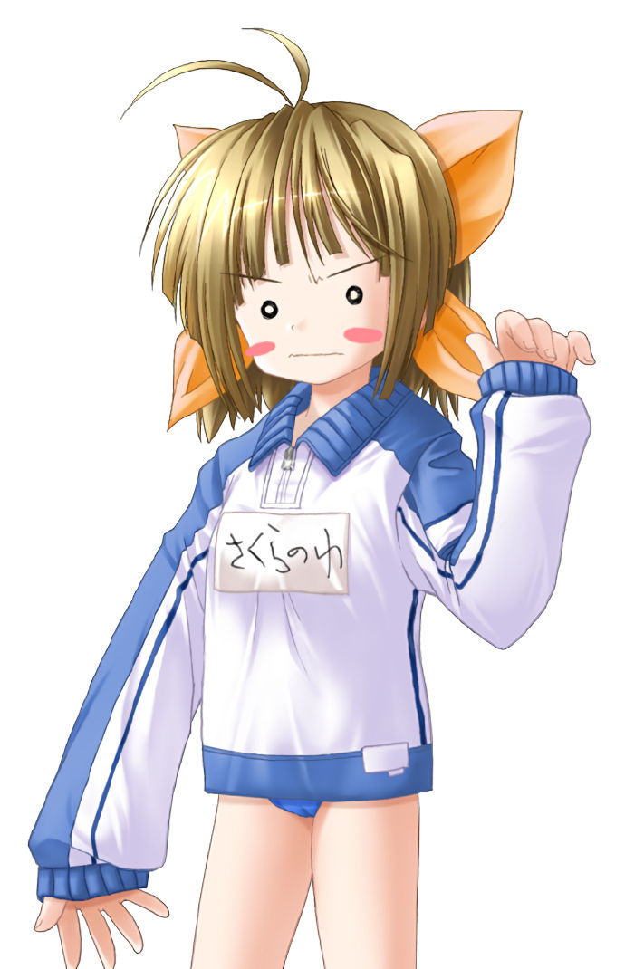 [会员][立绘图包][KIMちー]はるのあしおと[612P]