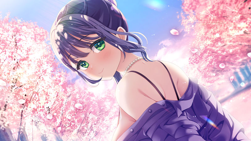 [游戏CG][夏空きらやか]Lip lipples 精选CG[315P]