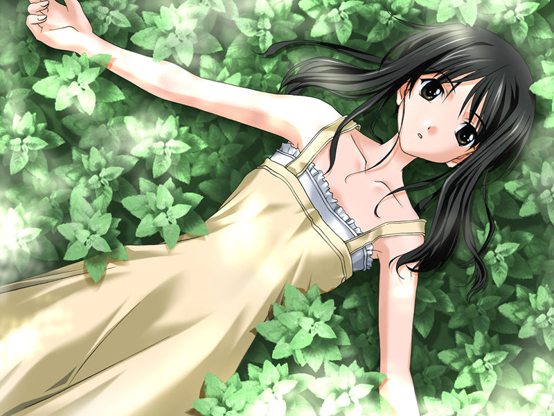 [游戏CG][ささきむつみ]Memories Off 2nd 游戏CG[272P]