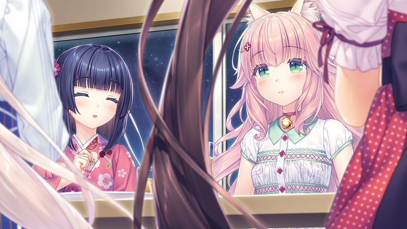 [游戏CG][さより]ネコぱらAfter ラ・ブレ・ファミーユ 精选CG[472P]