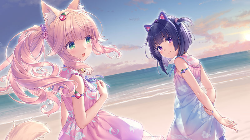 [游戏CG][さより]ネコぱらAfter ラ・ブレ・ファミーユ 精选CG[472P]