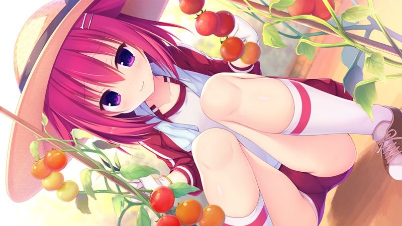 [游戏CG][はすね]ラズベリーキューブ 精选CG[406P]