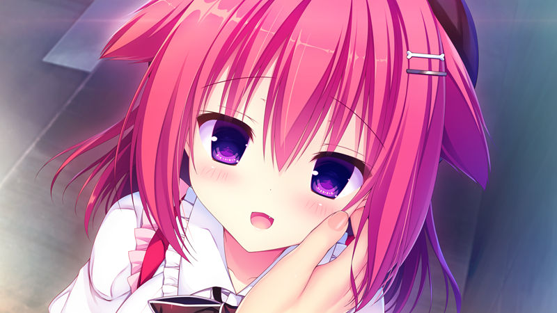 [游戏CG][はすね]ラズベリーキューブ 精选CG[406P]