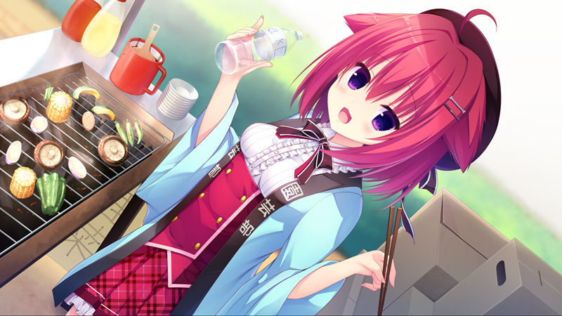 [游戏CG][はすね]ラズベリーキューブ 精选CG[406P]