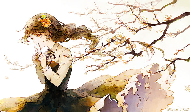 [会员][紅木春(camellia0x0)]Pixiv+bluesky+tumblr+散图包+推特图片包[404P]