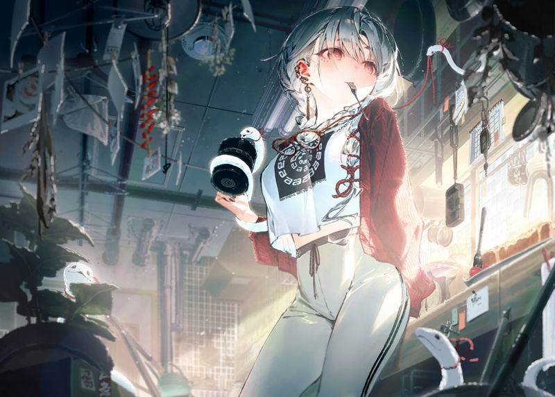 [会员][ホトソウカ(hotosoka)]Pixiv+推特图片包[35P]