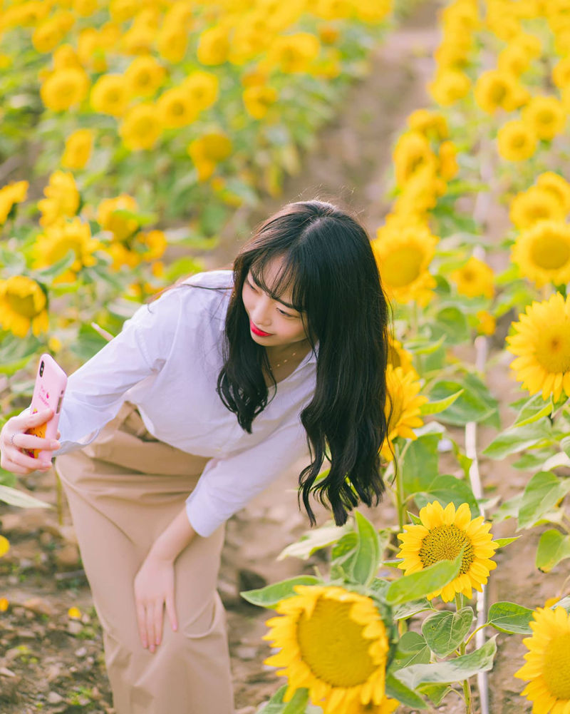 [摄影图包][only.grapher]instagram图包[6642P]