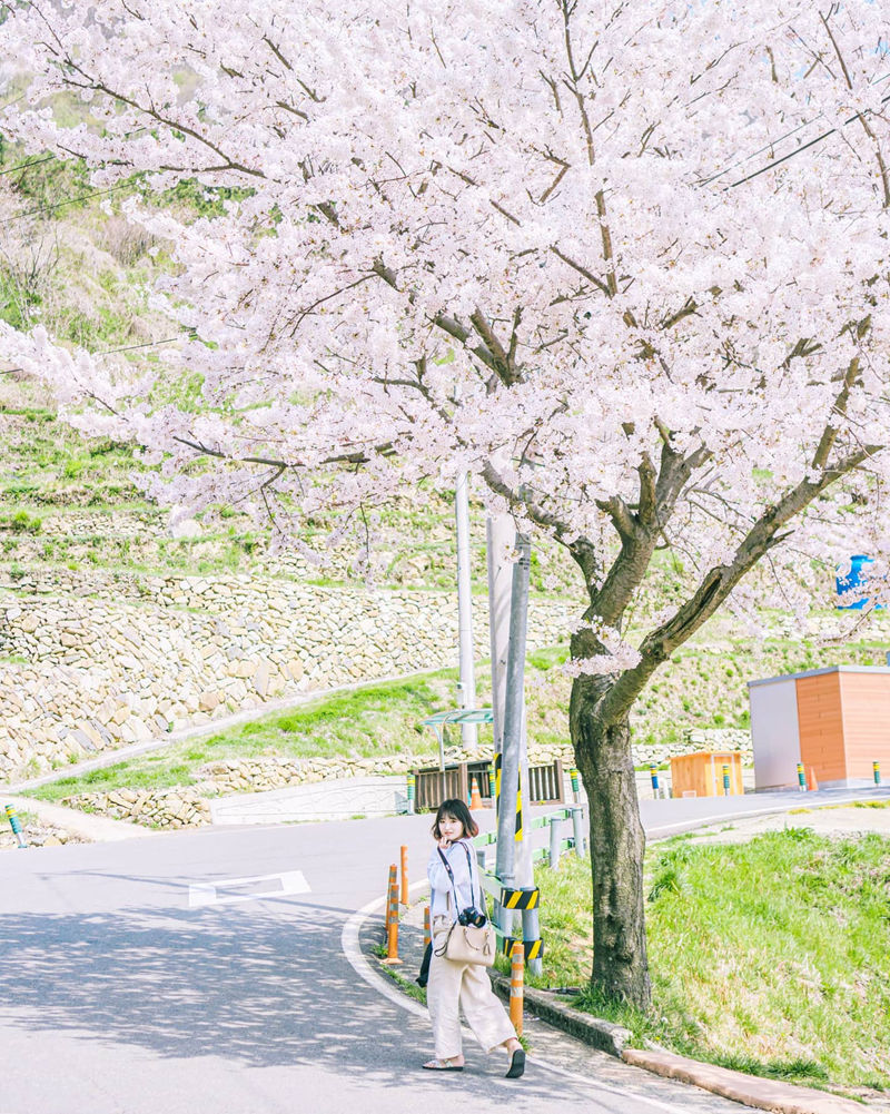 [摄影图包][only.grapher]instagram图包[6642P]
