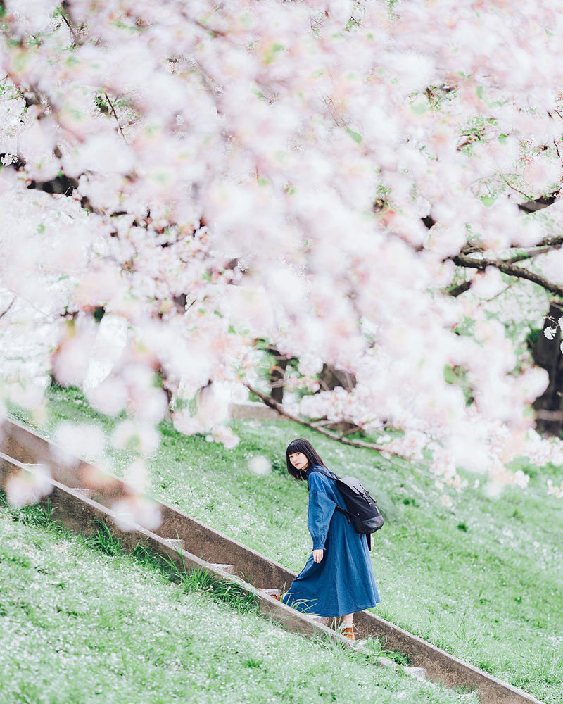 [摄影图包][たいせい(_tai_lll)]instagram图包[5784P]