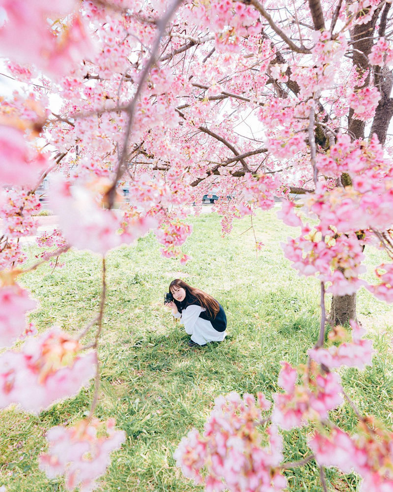 [摄影图包][たいせい(_tai_lll)]instagram图包[5784P]