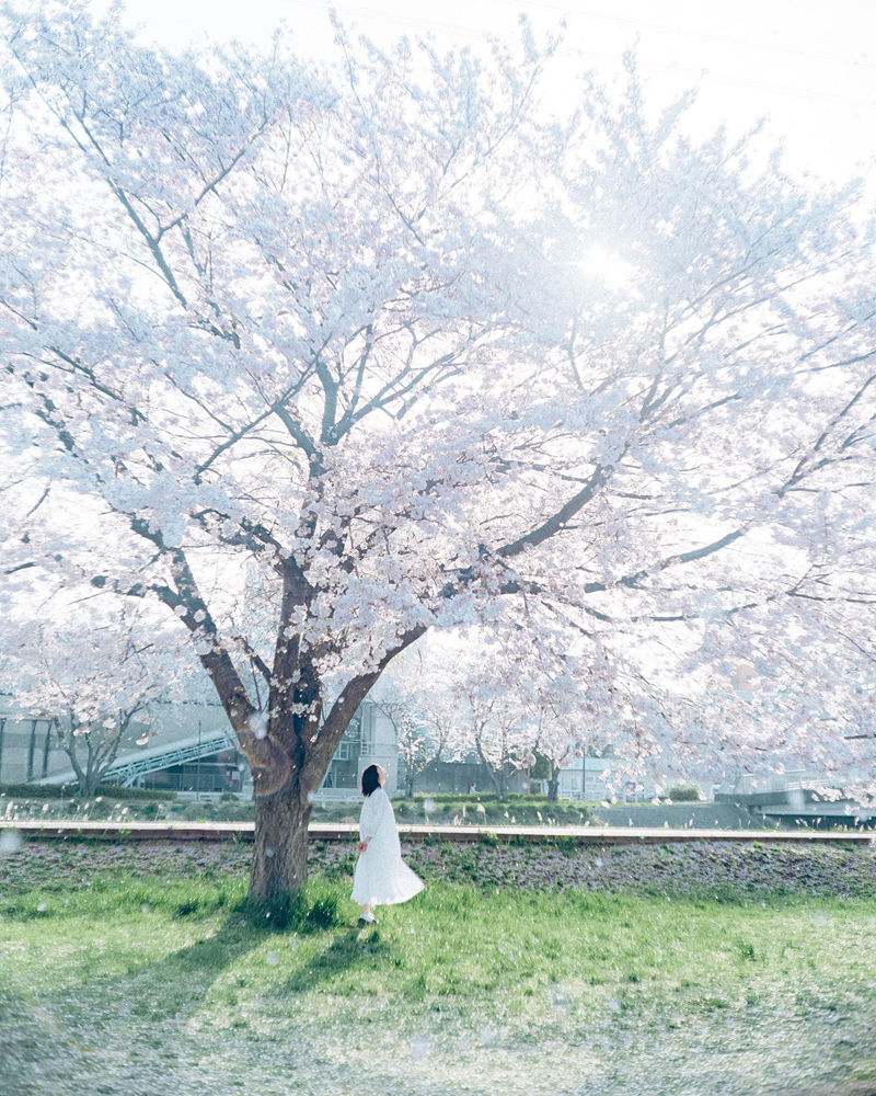 [摄影图包][たいせい(_tai_lll)]instagram图包[5784P]