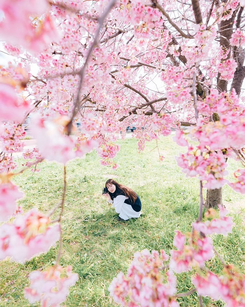 [摄影图包][たいせい(_tai_lll)]instagram图包[5784P]