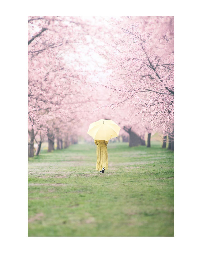 [摄影图包][杉本優也(u_ya021)]instagram图包[1166P]