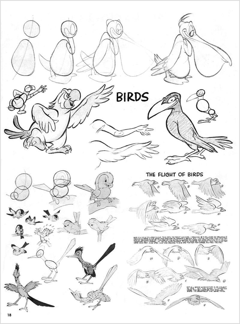 [动画教程][英文]Advanced Animation[41P]
