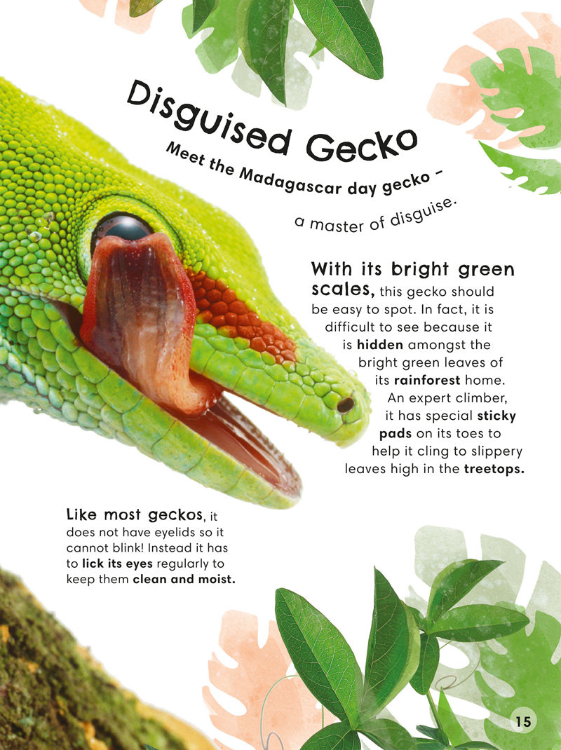 [画集]Animals Up Close Animals as youve Never Seen them Before[80P]