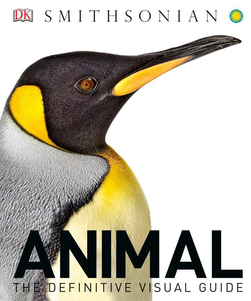 [画集]Animal: The Definitive Visual Guide[633P]