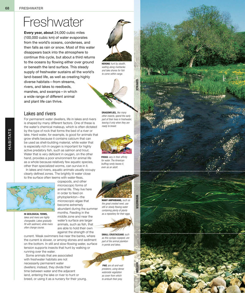 [画集]Animal: The Definitive Visual Guide[633P]