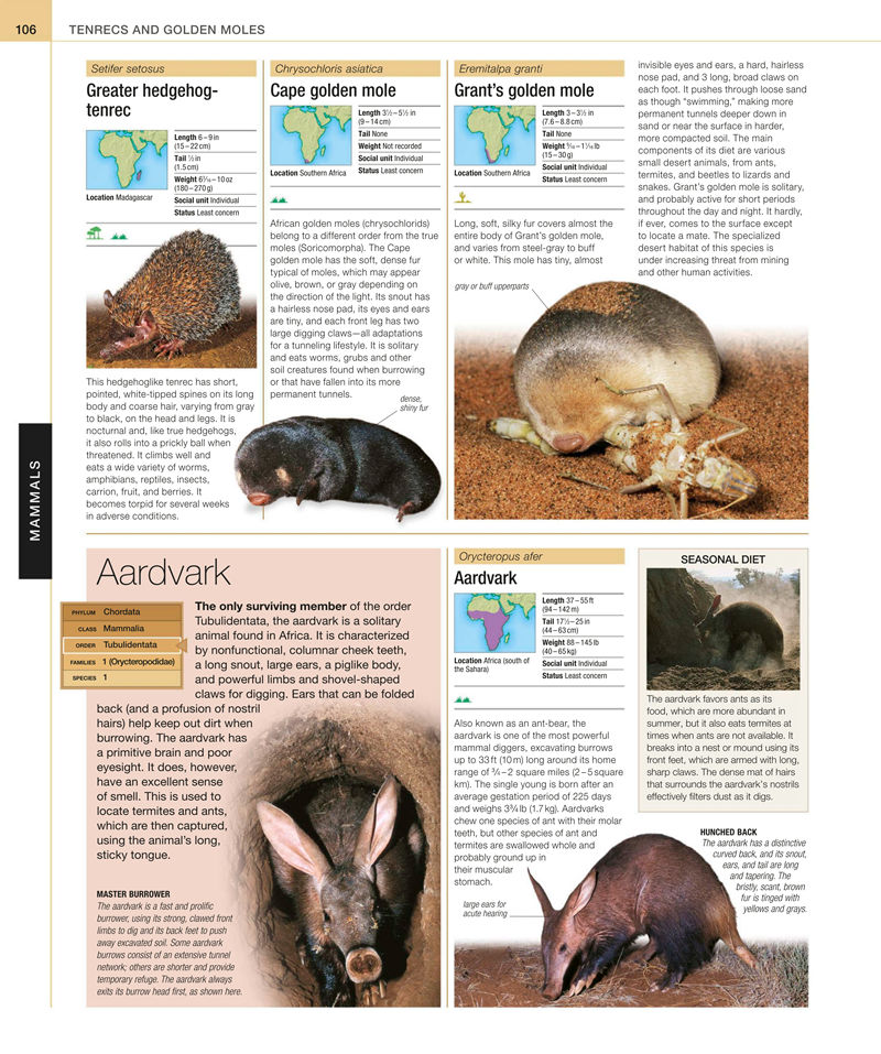 [画集]Animal: The Definitive Visual Guide[633P]