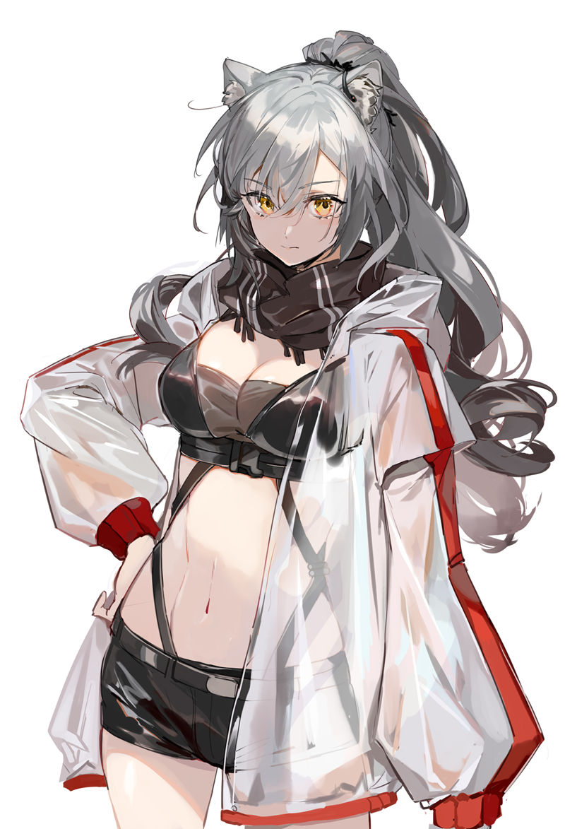[画师推荐][カラスBTK(BTKcyber)]Pixiv+推特图片包[762P]