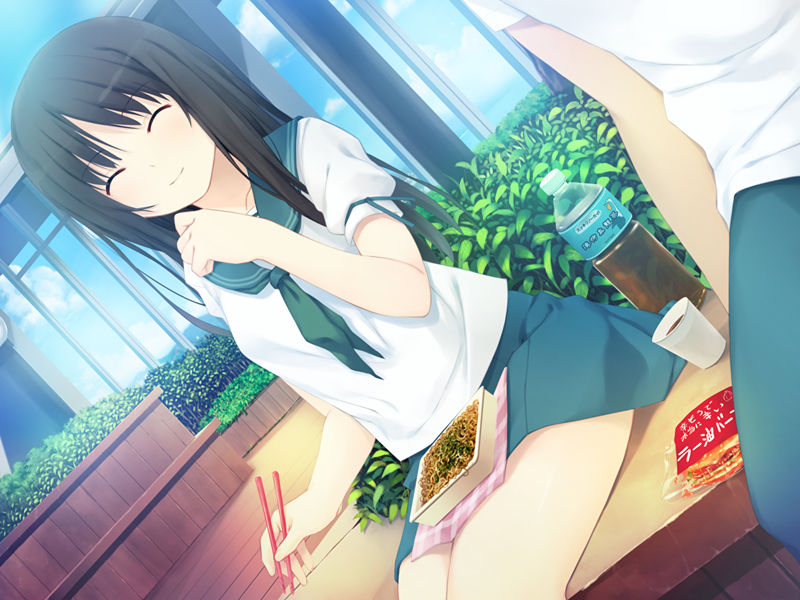 [游戏CG][珈琲貴族]CURE GIRL 精选CG[749P]