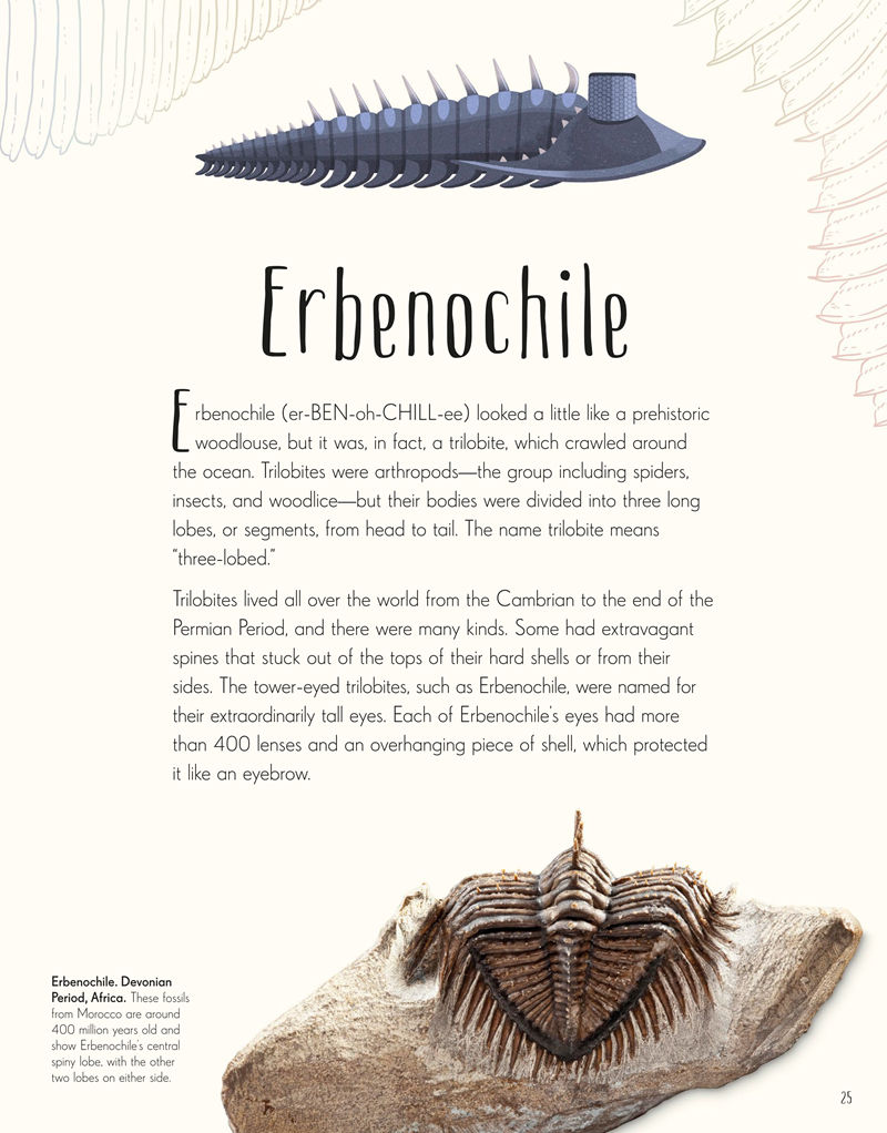 [画集]Dinosaurs and Other Prehistoric Life[226P]