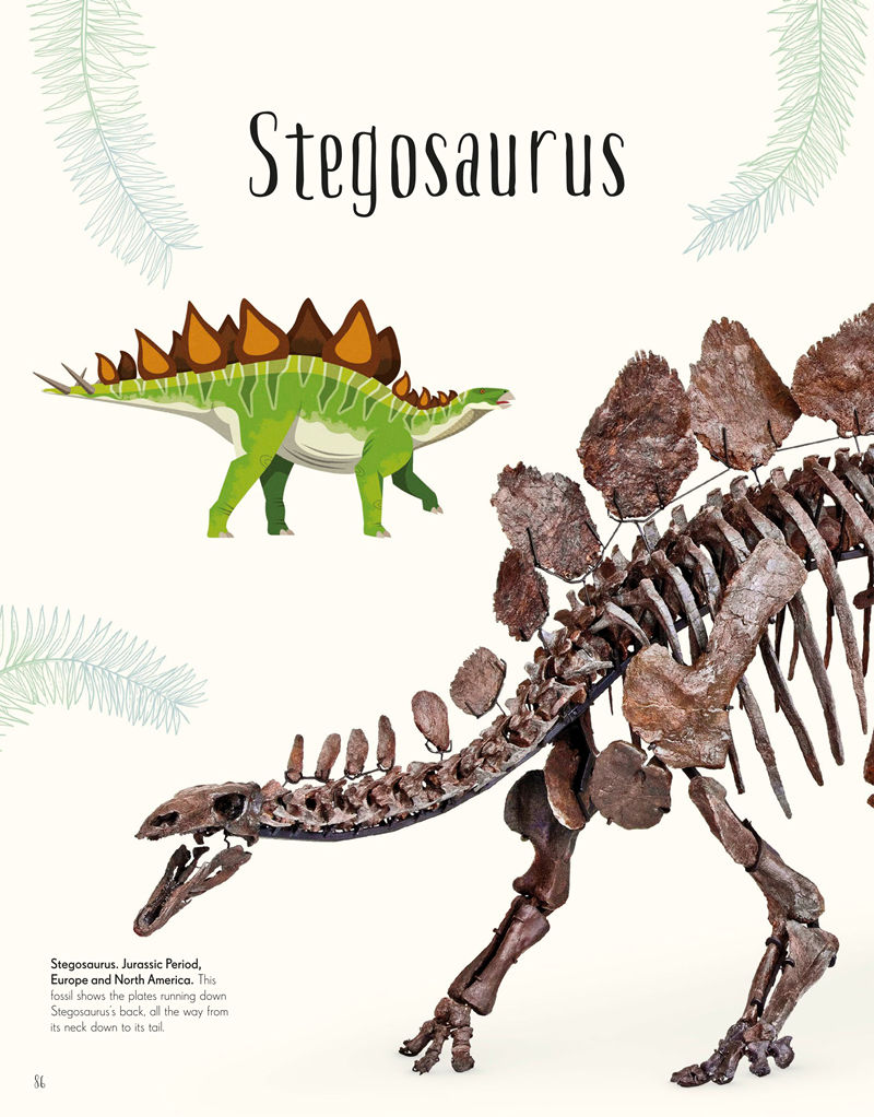 [画集]Dinosaurs and Other Prehistoric Life[226P]
