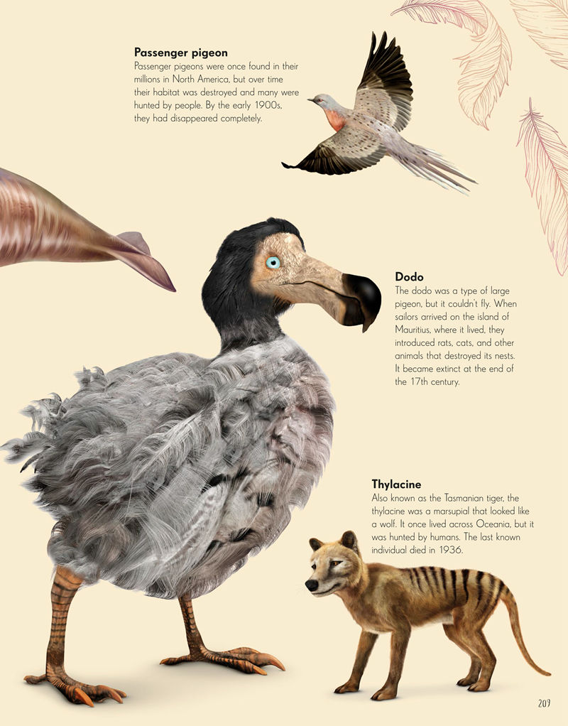 [画集]Dinosaurs and Other Prehistoric Life[226P]