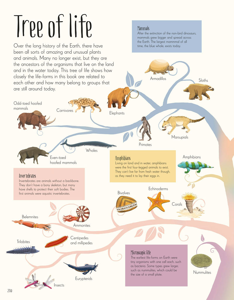 [画集]Dinosaurs and Other Prehistoric Life[226P]