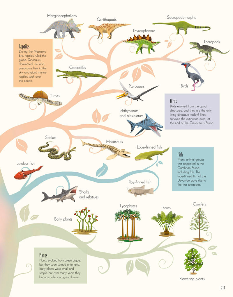 [画集]Dinosaurs and Other Prehistoric Life[226P]