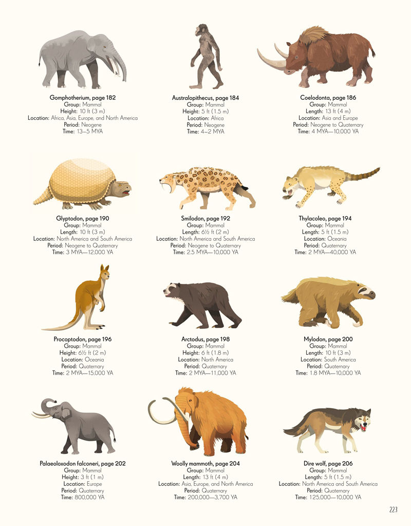 [画集]Dinosaurs and Other Prehistoric Life[226P]