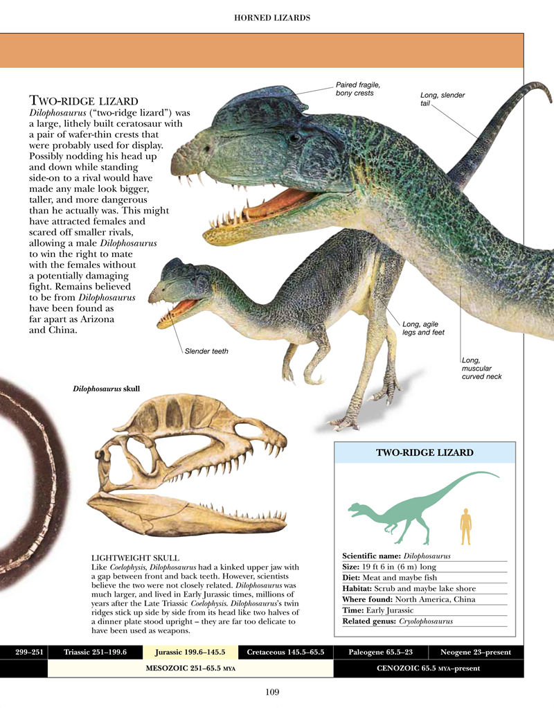 [画集]Encyclopedia of Dinosaurs and Prehistoric Life[377P]