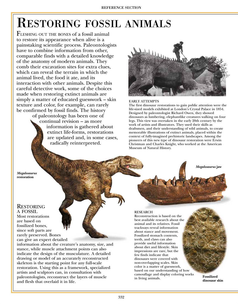 [画集]Encyclopedia of Dinosaurs and Prehistoric Life[377P]