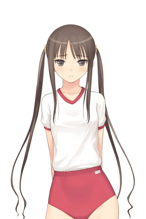 [会员][立绘图包][TONY すずきめい]フォルト!!SA[841P]