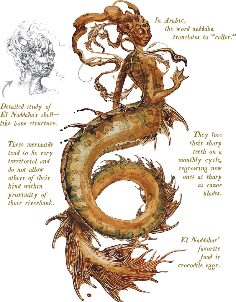 [画集]Loreland Bestiary[161P]
