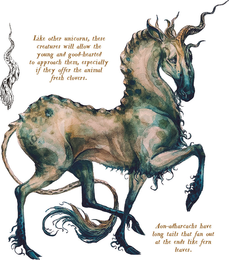 [画集]Loreland Bestiary[161P]