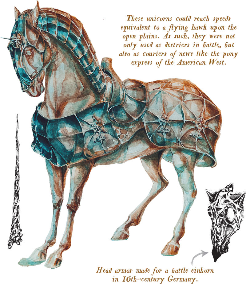 [画集]Loreland Bestiary[161P]