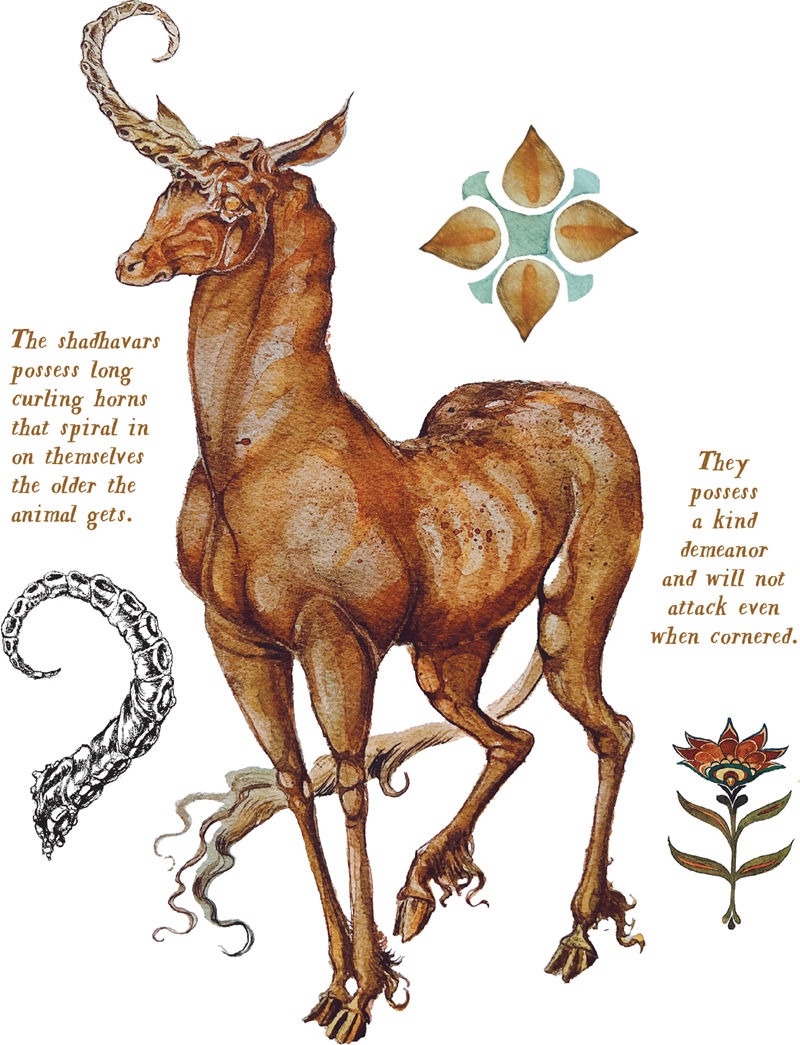 [画集]Loreland Bestiary[161P]