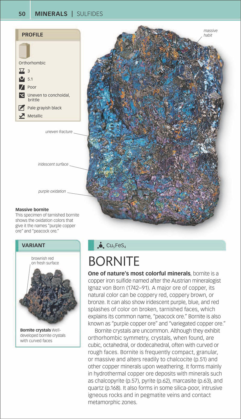 [画集]Nature Guide Rocks and Minerals[353P]