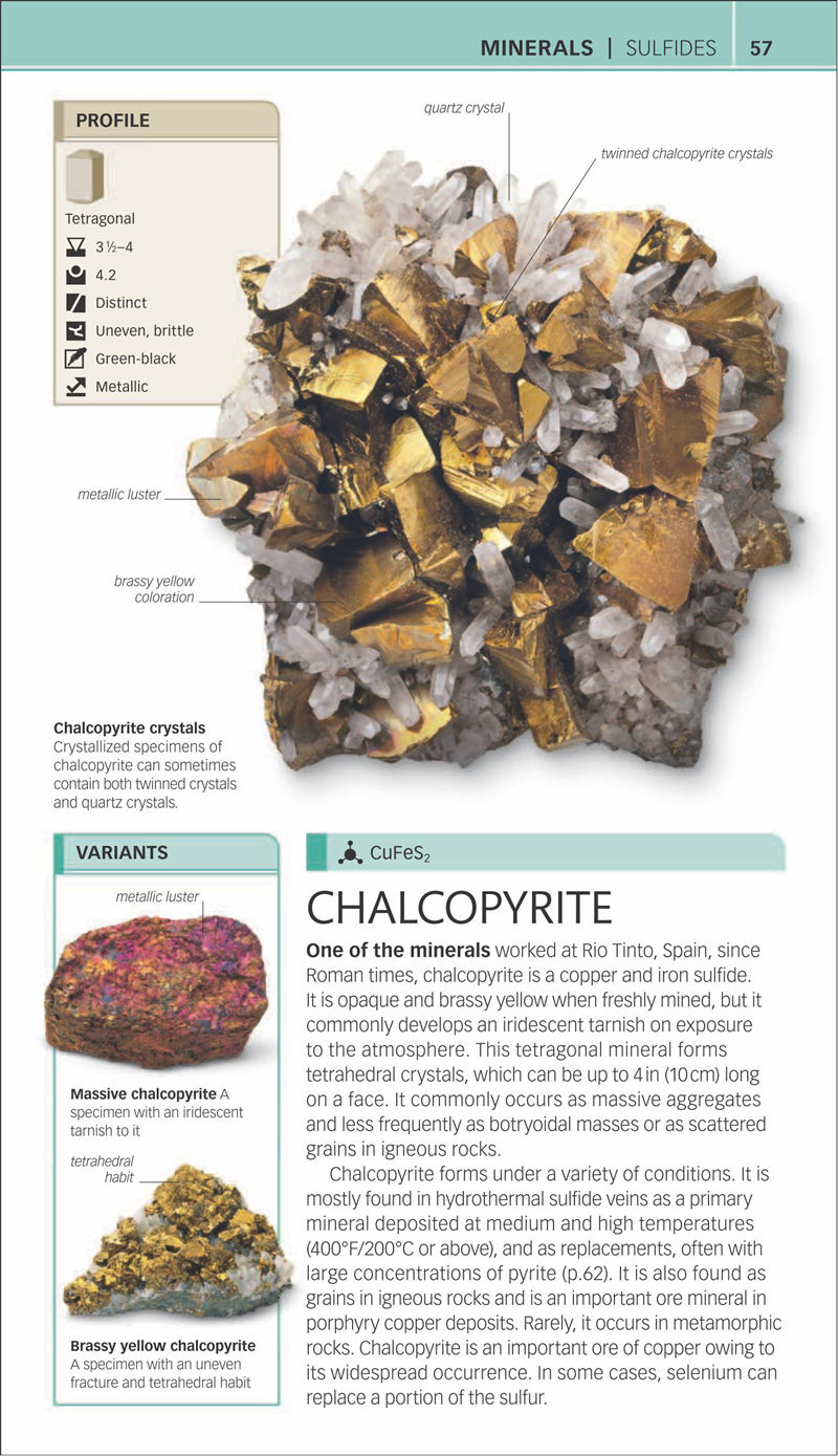 [画集]Nature Guide Rocks and Minerals[353P]